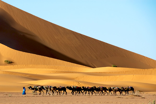 القوافل الصحراء